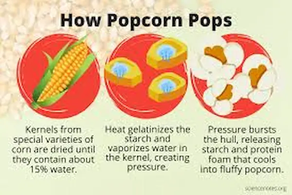 why popcorn pops kernels